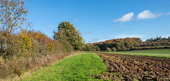 Fields -1