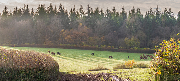 Gloucestershire-2