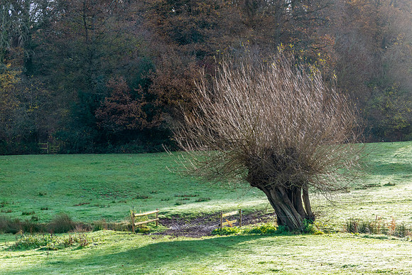 Gloucestershire-3