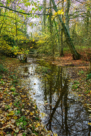 Gloucestershire-8