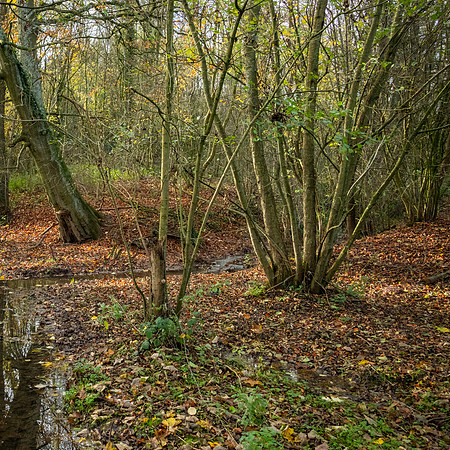 Gloucestershire-9