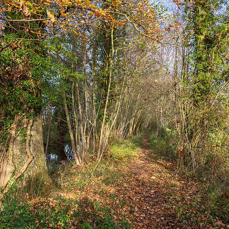 Gloucestershire-10