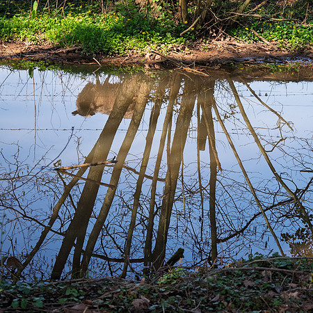Kempley-10