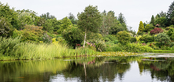 Glenwhan Gardens -3