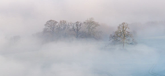 Foggy Morning From Painswick Beacon -3