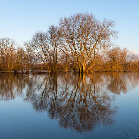 Tirley Flood 2020 -1