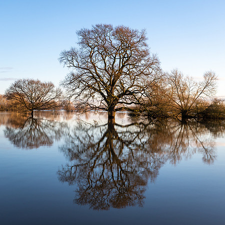 Tirley Flood 2020 -5