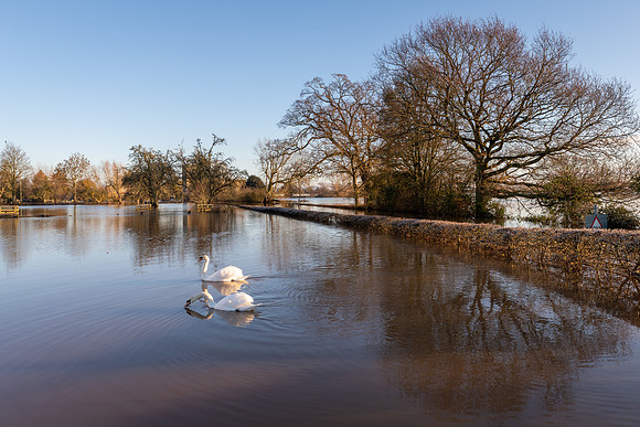 Tirley Flood 2020 -9