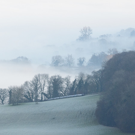 Foggy Morning From Painswick Beacon -6