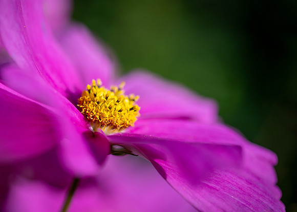 Cosmos 071024-1