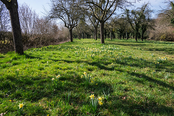 Kempley-13