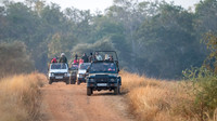 Tadoba Safari Vehicles