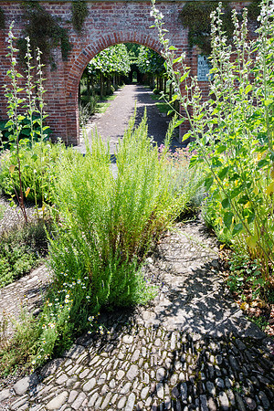 Hampton Court Gardens - 35