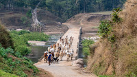 Rural Farming Village -10
