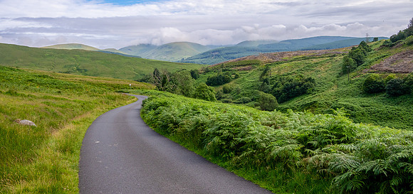 Galloway Forest Park -1