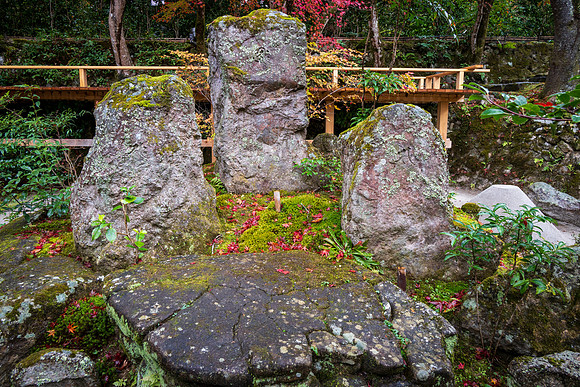 Ohara-9