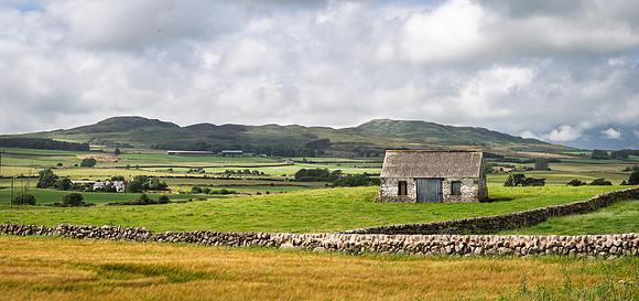 The Barn