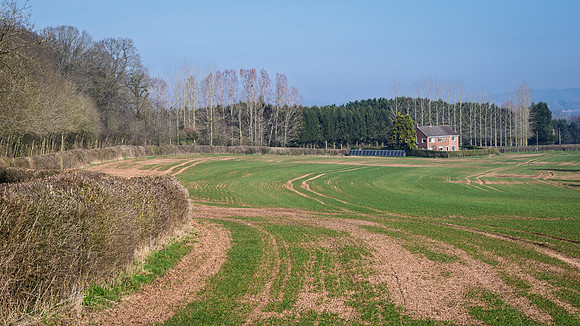 Kempley-8