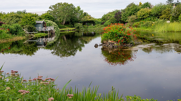 Glenwhan Gardens -4