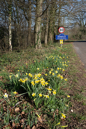 Kempley -1