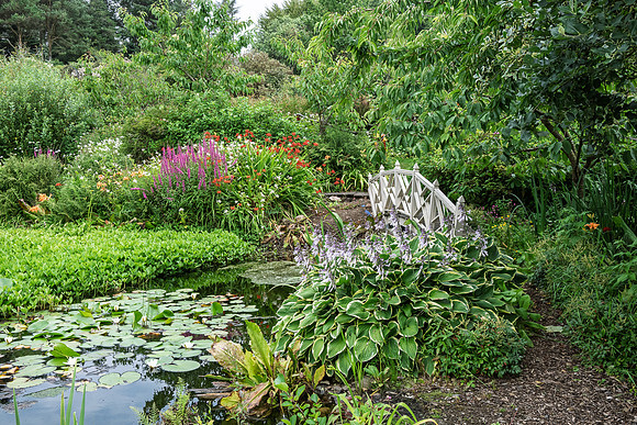 Glenwhan Gardens -10
