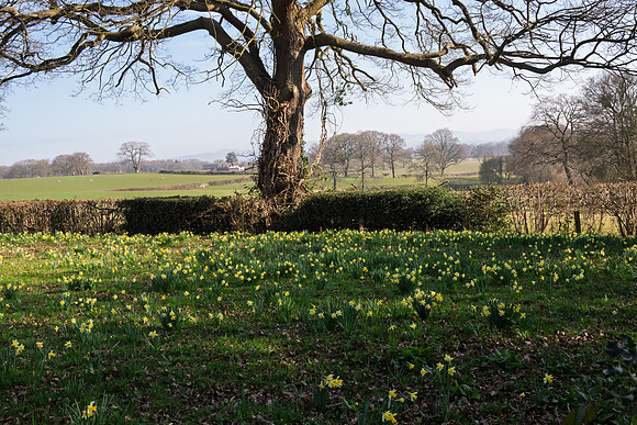 Kempley-3