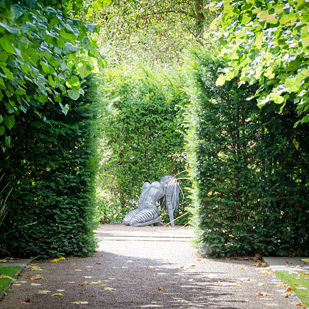 Hampton Court Gardens - 41