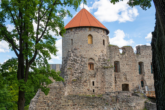 Cesis -2