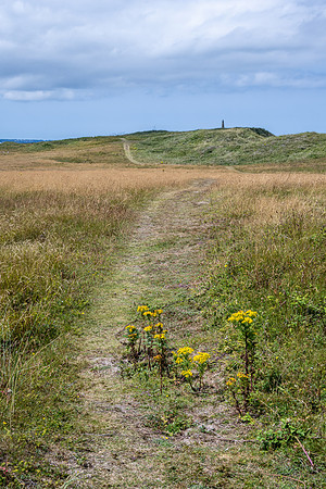 North of Herm Grassland