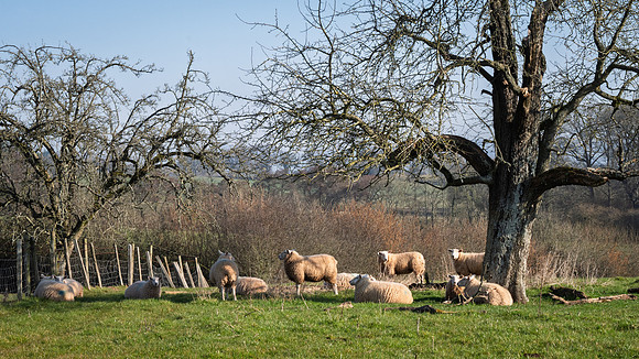 Kempley-4