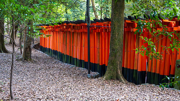 Fushimi Inari Shrine-11