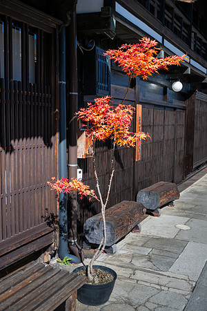 Narai-22