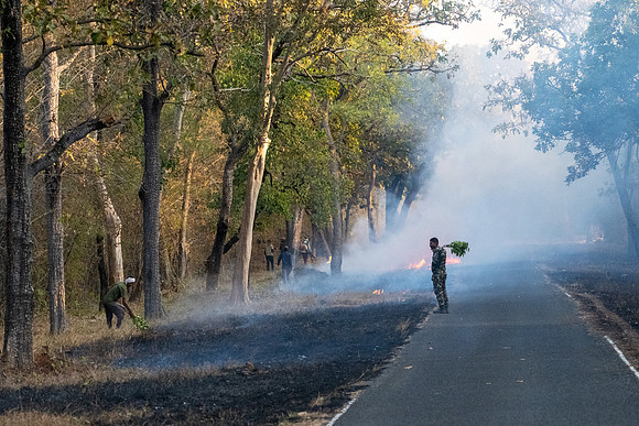 Managing Firebreak -2