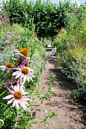 Hampton Court Gardens - 33