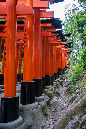 Fushimi Inari Shrine-10