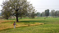 Rural Farming Village -2