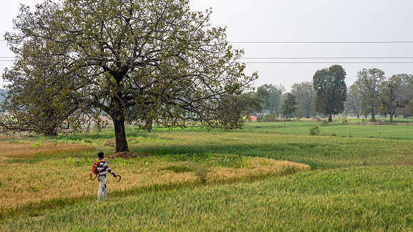 Rural Farming Village -2