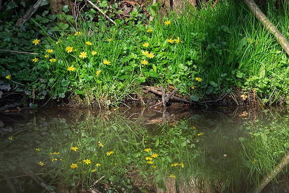 Kempley-11