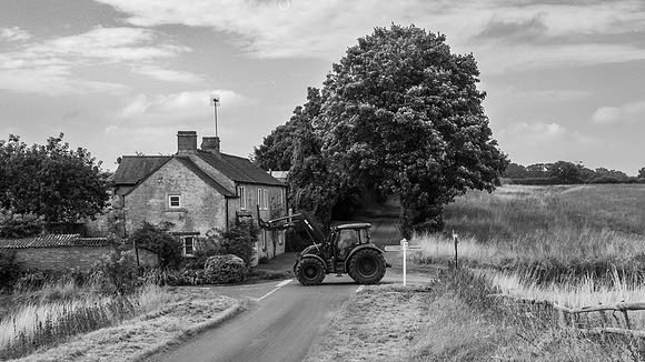 Marshfield -1