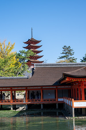Miyajima-6