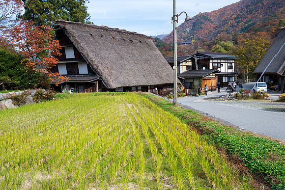 Shirakawa-go-15