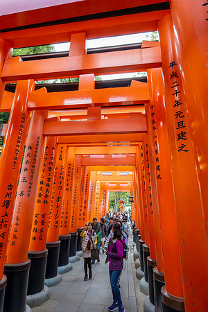 Fushimi Inari Shrine-7