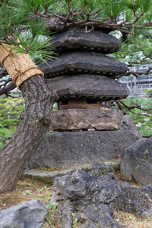 Kyu-Shiba-Rikyu Gardens -11