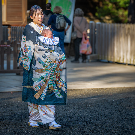 Meiji Shrine -4