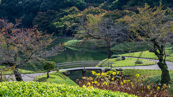 Koishikawa Korakuen Gardens  -10