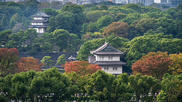Imperial Palace View -2