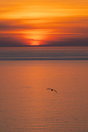Bempton-87