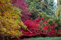Batsford-3