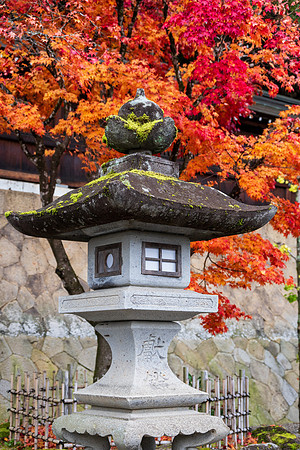 Takayama-69
