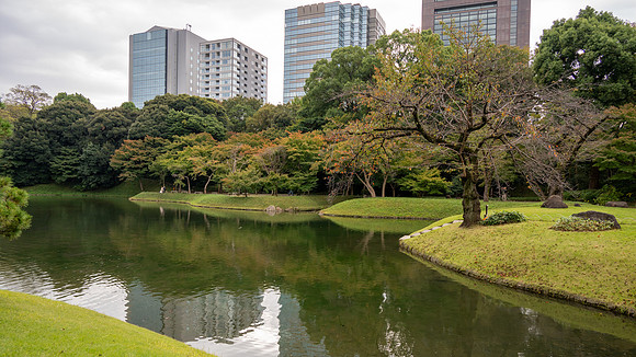 Koishikawa Korakuen Gardens  -1